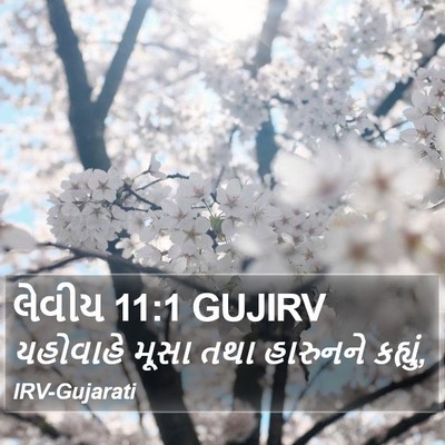 લેવીય 11:1 GUJIRV Bible Verse Image