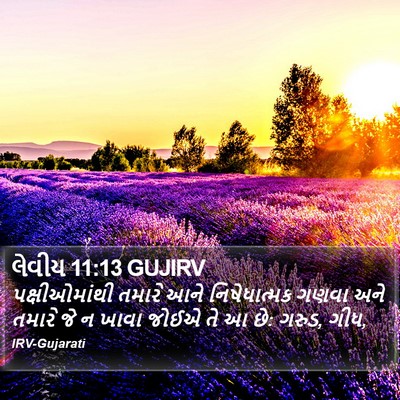 લેવીય 11:13 GUJIRV Bible Verse Image