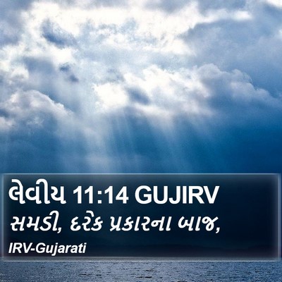 લેવીય 11:14 GUJIRV Bible Verse Image