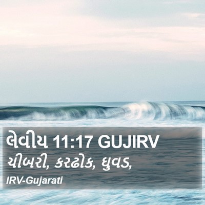 લેવીય 11:17 GUJIRV Bible Verse Image
