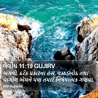 લેવીય 11:19 GUJIRV Bible Verse Image