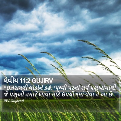 લેવીય 11:2 GUJIRV Bible Verse Image
