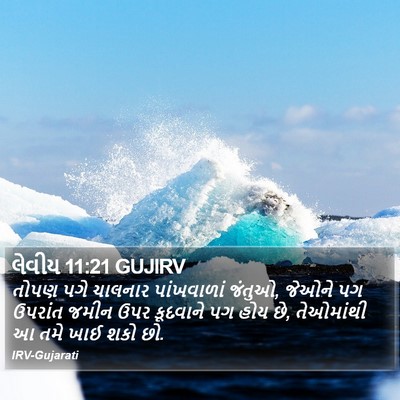 લેવીય 11:21 GUJIRV Bible Verse Image