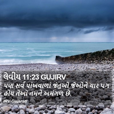 લેવીય 11:23 GUJIRV Bible Verse Image