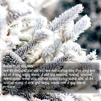 લેવીય 11:32 GUJIRV Bible Verse Image