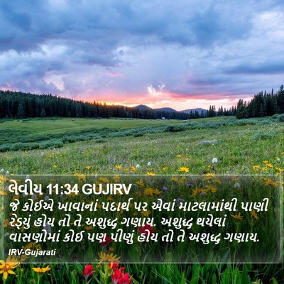લેવીય 11:34 GUJIRV Bible Verse Image