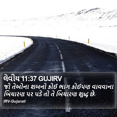 લેવીય 11:37 GUJIRV Bible Verse Image