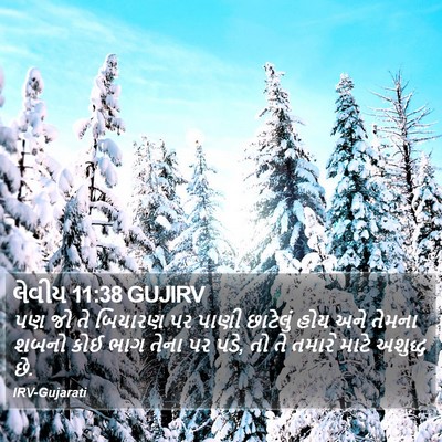 લેવીય 11:38 GUJIRV Bible Verse Image