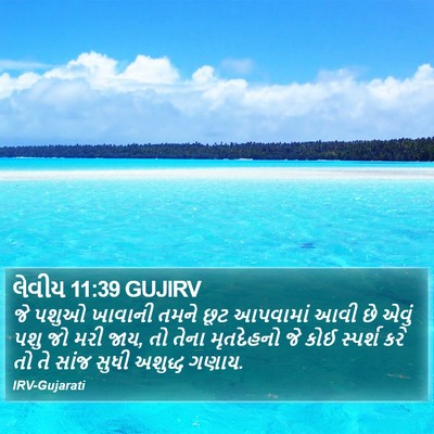 લેવીય 11:39 GUJIRV Bible Verse Image