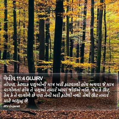 લેવીય 11:4 GUJIRV Bible Verse Image