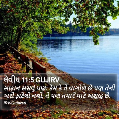 લેવીય 11:5 GUJIRV Bible Verse Image