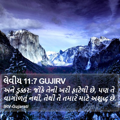 લેવીય 11:7 GUJIRV Bible Verse Image
