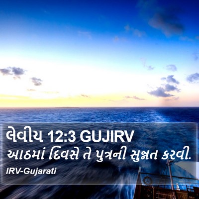 લેવીય 12:3 GUJIRV Bible Verse Image