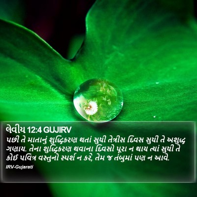 લેવીય 12:4 GUJIRV Bible Verse Image