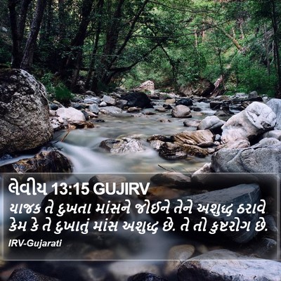 લેવીય 13:15 GUJIRV Bible Verse Image