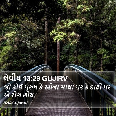 લેવીય 13:29 GUJIRV Bible Verse Image