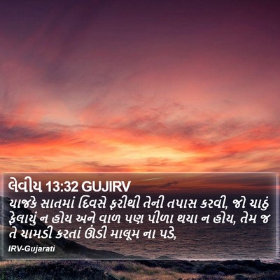 લેવીય 13:32 GUJIRV Bible Verse Image