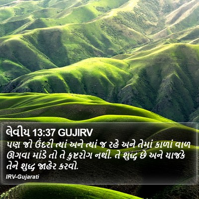 લેવીય 13:37 GUJIRV Bible Verse Image