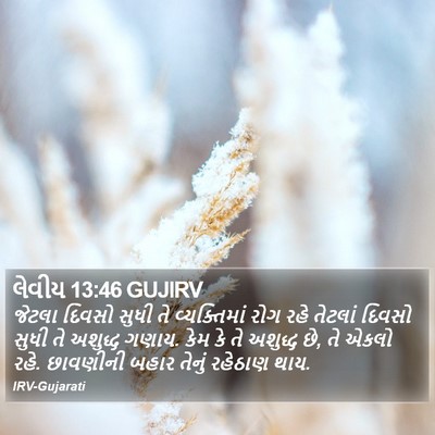લેવીય 13:46 GUJIRV Bible Verse Image