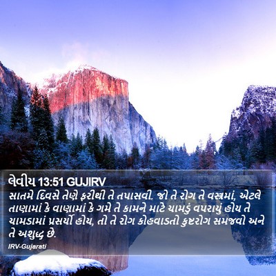 લેવીય 13:51 GUJIRV Bible Verse Image
