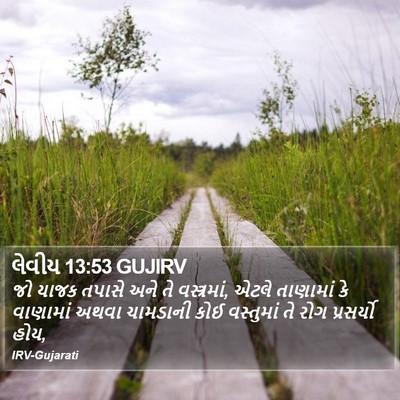 લેવીય 13:53 GUJIRV Bible Verse Image