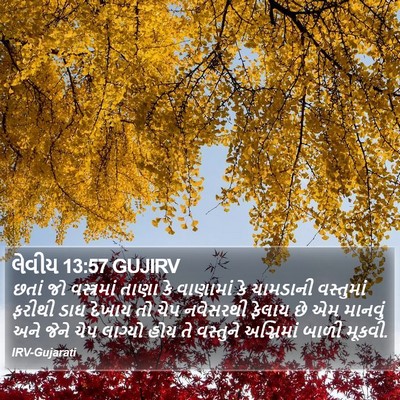 લેવીય 13:57 GUJIRV Bible Verse Image