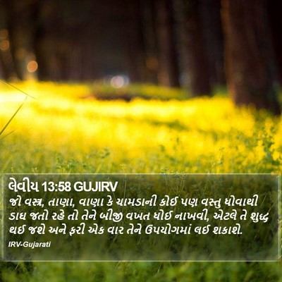 લેવીય 13:58 GUJIRV Bible Verse Image