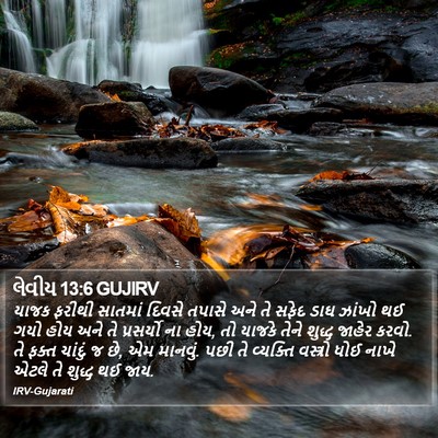 લેવીય 13:6 GUJIRV Bible Verse Image
