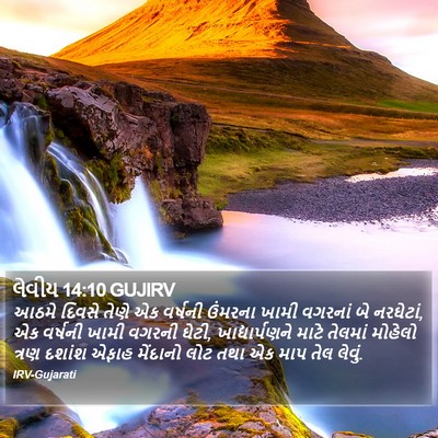 લેવીય 14:10 GUJIRV Bible Verse Image