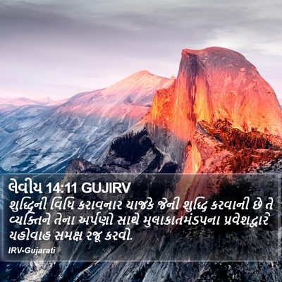 લેવીય 14:11 GUJIRV Bible Verse Image