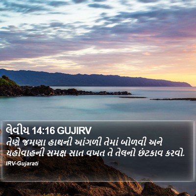 લેવીય 14:16 GUJIRV Bible Verse Image