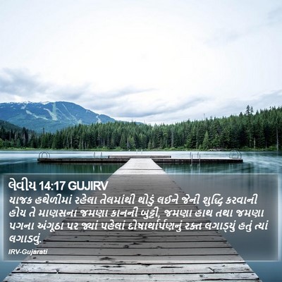 લેવીય 14:17 GUJIRV Bible Verse Image