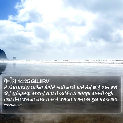 લેવીય 14:25 GUJIRV Bible Verse Image