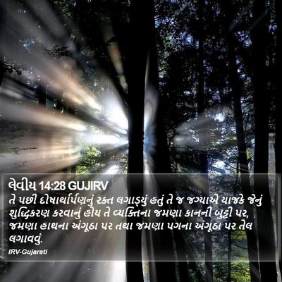 લેવીય 14:28 GUJIRV Bible Verse Image