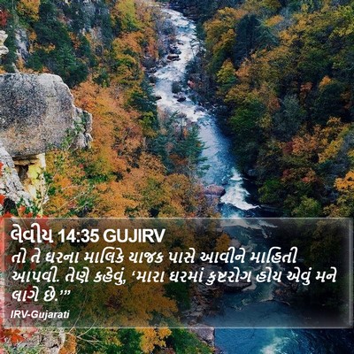 લેવીય 14:35 GUJIRV Bible Verse Image
