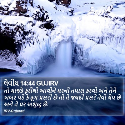 લેવીય 14:44 GUJIRV Bible Verse Image