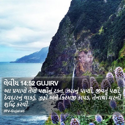 લેવીય 14:52 GUJIRV Bible Verse Image