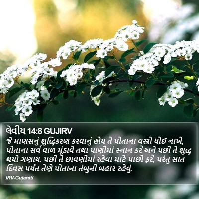 લેવીય 14:8 GUJIRV Bible Verse Image