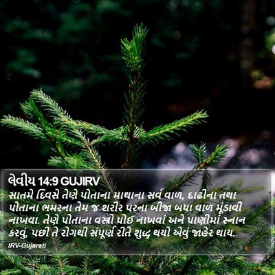 લેવીય 14:9 GUJIRV Bible Verse Image