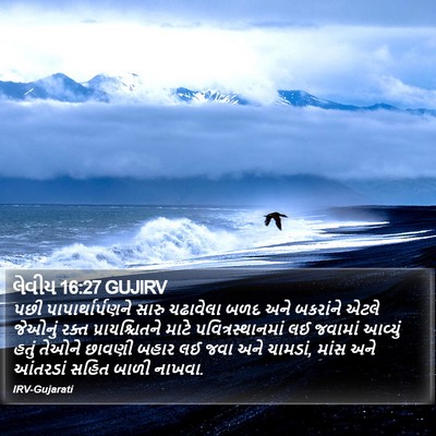 લેવીય 16:27 GUJIRV Bible Verse Image