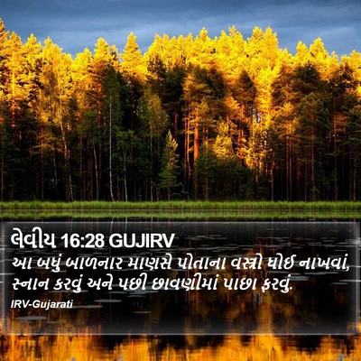 લેવીય 16:28 GUJIRV Bible Verse Image
