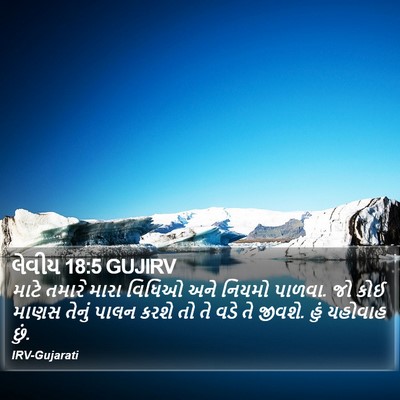 લેવીય 18:5 GUJIRV Bible Verse Image