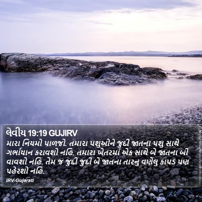 લેવીય 19:19 GUJIRV Bible Verse Image