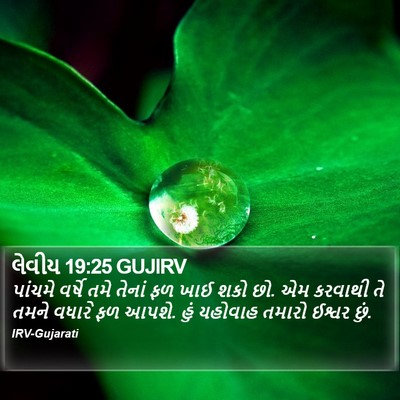 લેવીય 19:25 GUJIRV Bible Verse Image