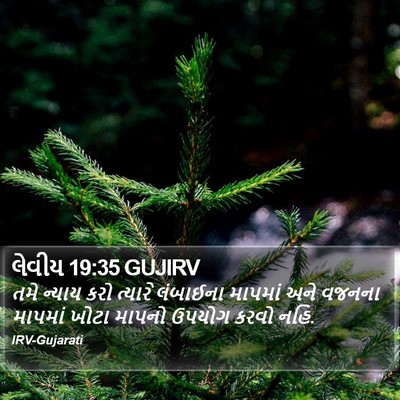 લેવીય 19:35 GUJIRV Bible Verse Image