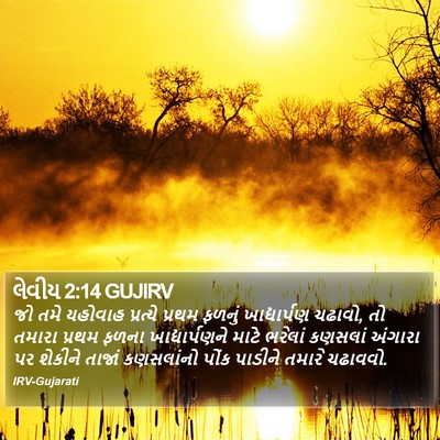 લેવીય 2:14 GUJIRV Bible Verse Image