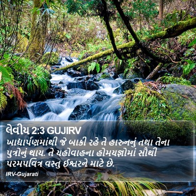 લેવીય 2:3 GUJIRV Bible Verse Image