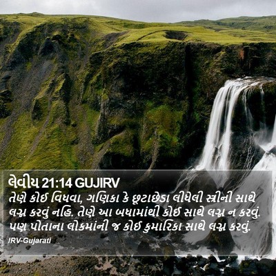લેવીય 21:14 GUJIRV Bible Verse Image