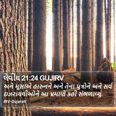 લેવીય 21:24 GUJIRV Bible Verse Image