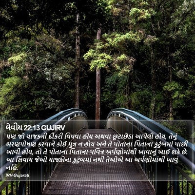 લેવીય 22:13 GUJIRV Bible Verse Image